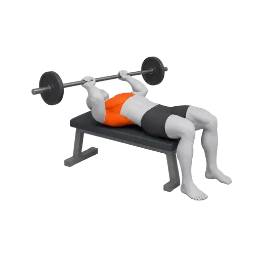 Bent Arm Barbell Pullover