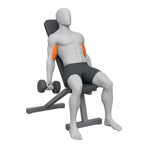 Incline Dumbbell Curl