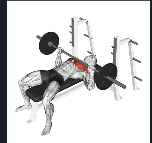 ExerciseDB / WorkoutX